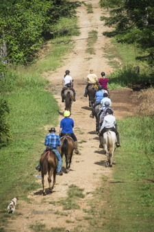 Costa Rica-Pacific Coast-Conquistadores Wilderness Eco-Safari